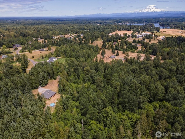15949 159th Ln SE, Yelm, WA 98597 - bird's eye view of a heavily wooded area