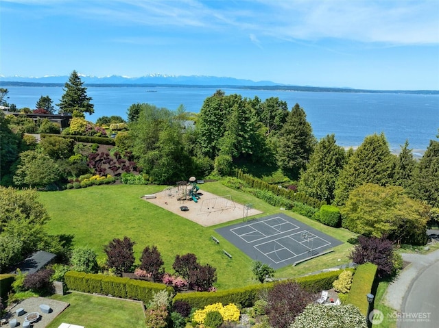 10718 12th Ave NW, Seattle, WA 98177 - bird's eye view of a water and mountain view