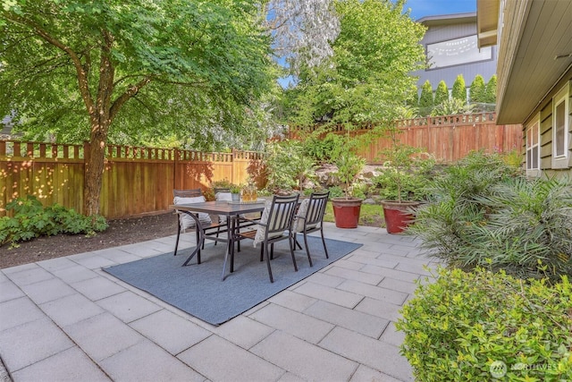 10718 12th Ave NW, Seattle, WA 98177 - fenced backyard with a patio and outdoor dining space