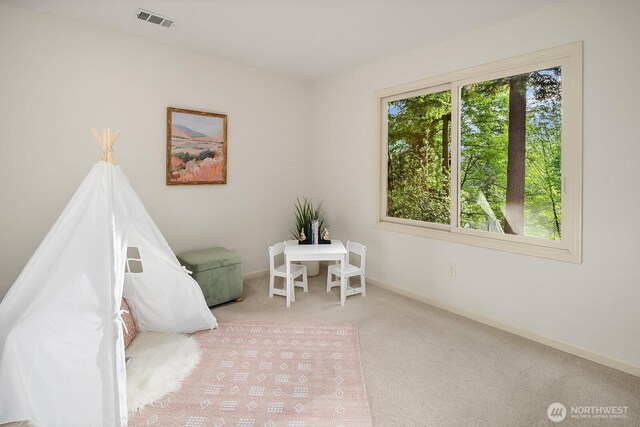 741 222nd Pl NE, Sammamish, WA 98074 - photo 27