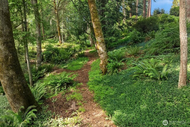 741 222nd Pl NE, Sammamish, WA 98074 - photo 37