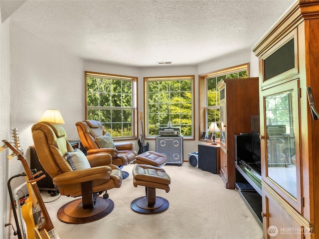 7842 Delphi Rd SW, Olympia, WA 98512 - sitting room with light carpet, a textured ceiling, and a textured wall
