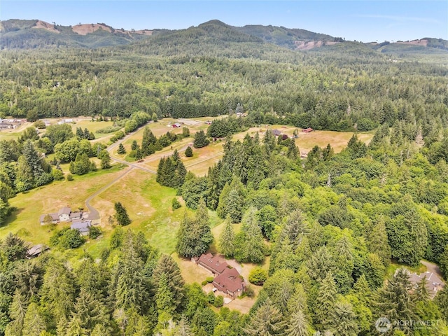 7842 Delphi Rd SW, Olympia, WA 98512 - aerial view of a heavily wooded area and a mountainous background