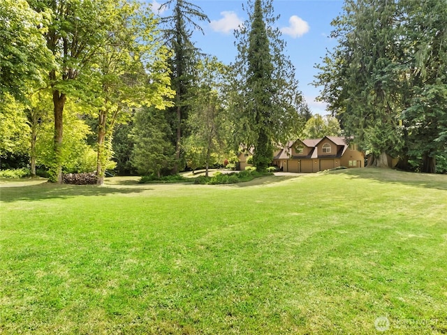 7842 Delphi Rd SW, Olympia, WA 98512 - view of green lawn