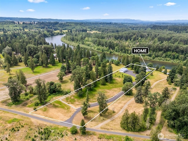 253 Green Water Dr, Toledo, WA 98591 - photo 4