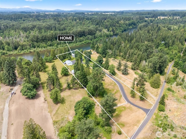 253 Green Water Dr, Toledo, WA 98591 - photo 5