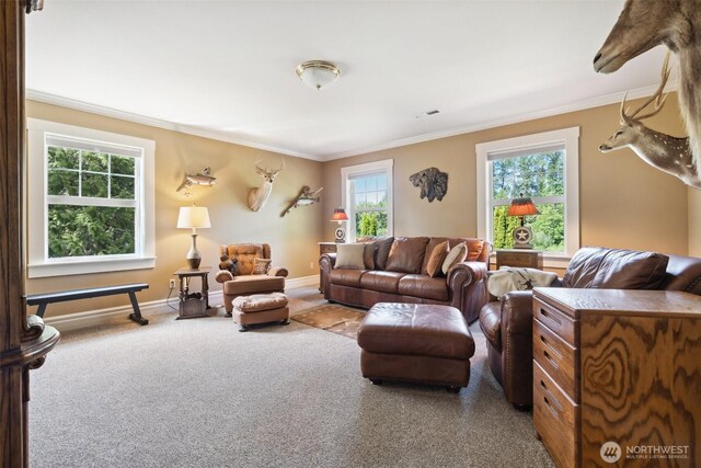 253 Green Water Dr, Toledo, WA 98591 - photo 27