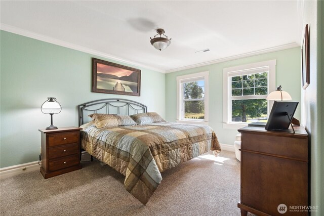 253 Green Water Dr, Toledo, WA 98591 - photo 29