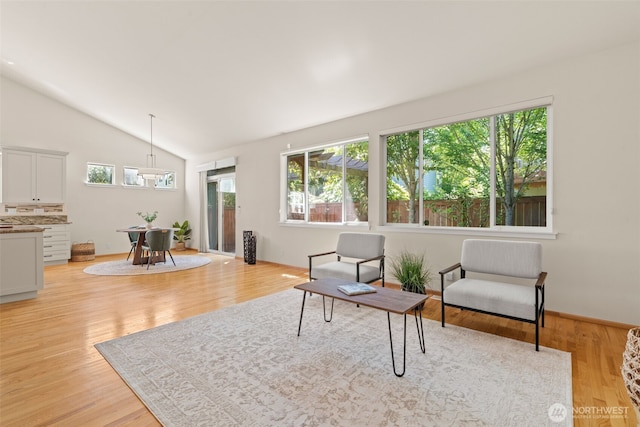 18130 Sunrise Ridge Ave NE, Poulsbo, WA 98370 - living area with lofted ceiling, plenty of natural light, and light wood-style floors