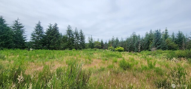 0 SE Ashley Rd S, Shelton, WA 98584 - photo 6