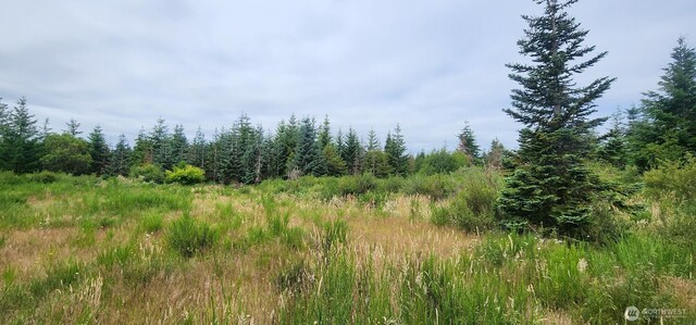 0 SE Ashley Rd S, Shelton, WA 98584 - photo 7