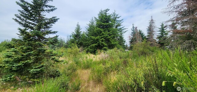 0 SE Ashley Rd S, Shelton, WA 98584 - photo 8