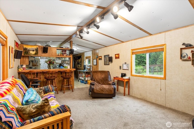 18025 Cedar Ponds Rd, Monroe, WA 98272 - carpeted living room featuring a bar