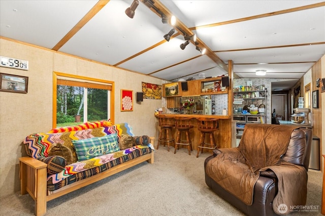 18025 Cedar Ponds Rd, Monroe, WA 98272 - carpeted living area with bar area
