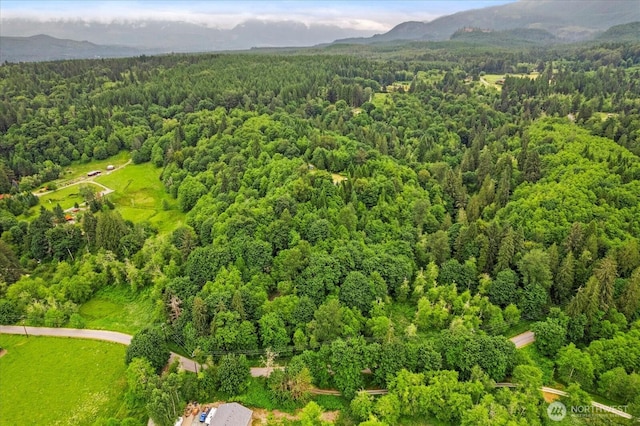 18025 Cedar Ponds Rd, Monroe, WA 98272 - aerial view of a heavily wooded area and a mountain backdrop