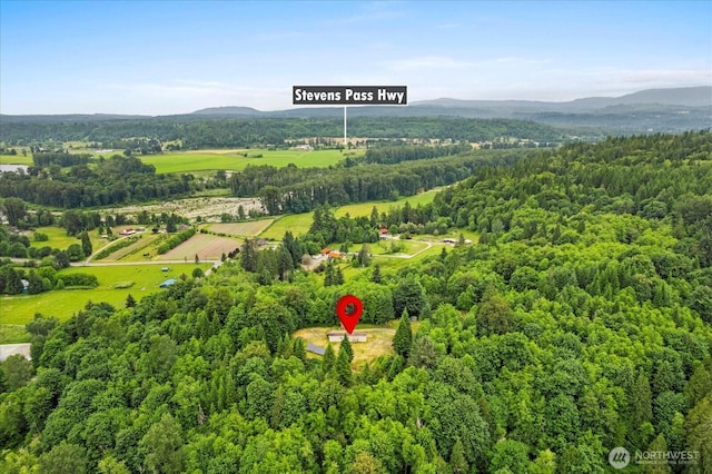 18025 Cedar Ponds Rd, Monroe, WA 98272 - aerial view of mountains