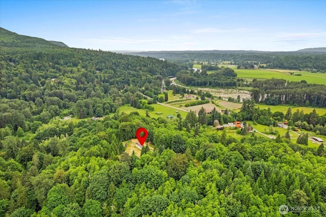 18025 Cedar Ponds Rd, Monroe, WA 98272 - bird's eye view of a heavily wooded area and a mountain backdrop
