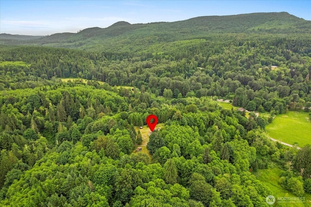 18025 Cedar Ponds Rd, Monroe, WA 98272 - bird's eye view of a mountainous background