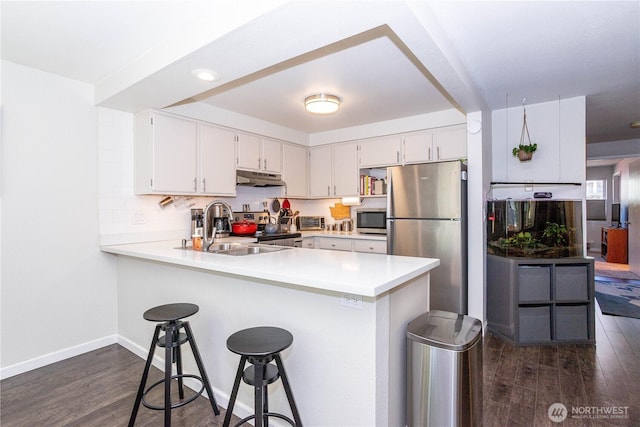 4231 NE 5th St Unit C102, Renton, WA 98059 - kitchen with stainless steel appliances, under cabinet range hood, a peninsula, dark wood-type flooring, and recessed lighting