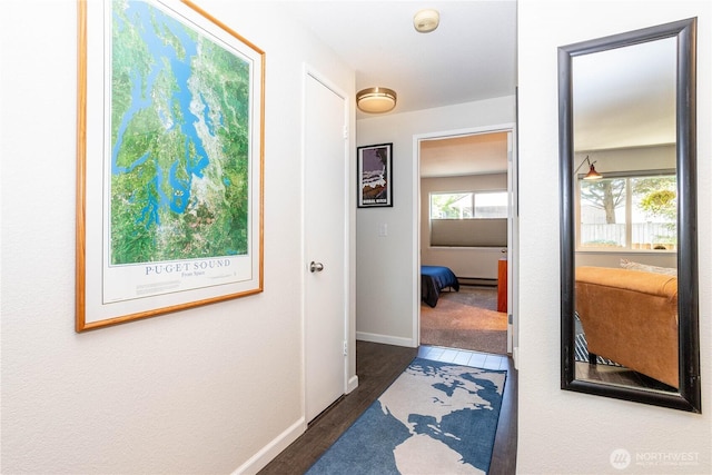 4231 NE 5th St Unit C102, Renton, WA 98059 - corridor with wood finished floors and baseboards
