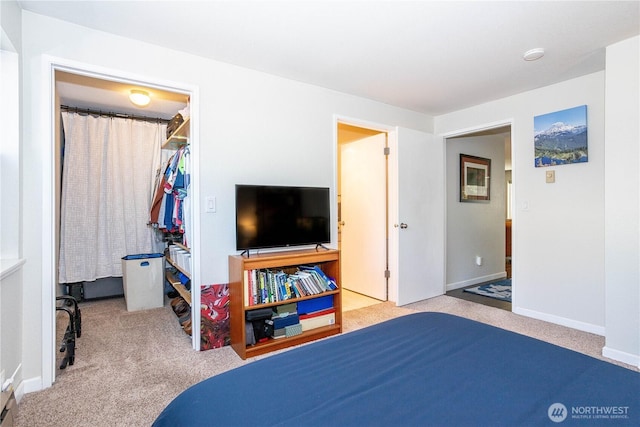 4231 NE 5th St Unit C102, Renton, WA 98059 - bedroom with carpet flooring, a spacious closet, and a closet