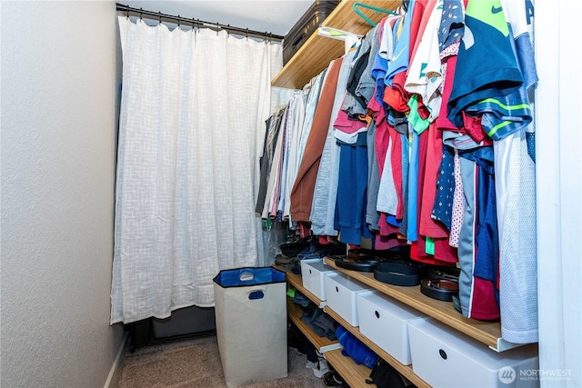 4231 NE 5th St Unit C102, Renton, WA 98059 - walk in closet featuring carpet