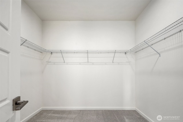 12619 176th St E, Puyallup, WA 98374 - walk in closet with carpet