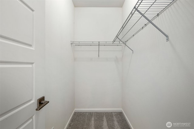 12619 176th St E, Puyallup, WA 98374 - walk in closet featuring carpet flooring