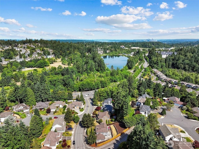 8426 135th Ave SE, Newcastle, WA 98059 - photo 31