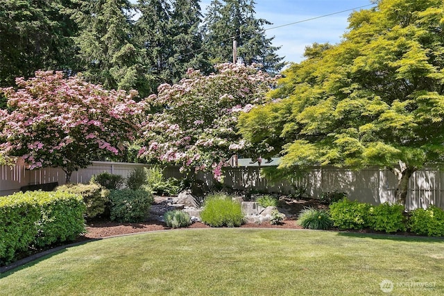 11206 83rd Ave SW, Lakewood, WA 98498 - photo 26