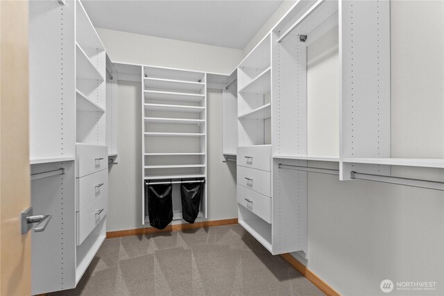 3800 SW Holden St, Seattle, WA 98126 - walk in closet with carpet flooring