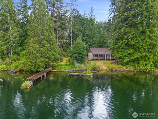 2120 E Spencer Lake Rd, Shelton, WA 98584 - dock with a water view and a forest view