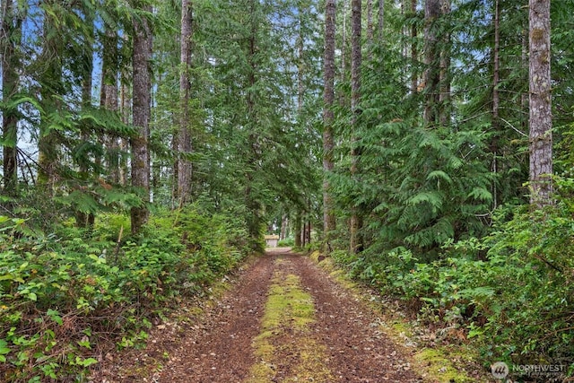 2120 E Spencer Lake Rd, Shelton, WA 98584 - view of dirt / gravel road with a forest view