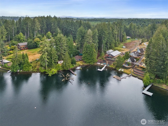 2120 E Spencer Lake Rd, Shelton, WA 98584 - aerial view of a nearby body of water
