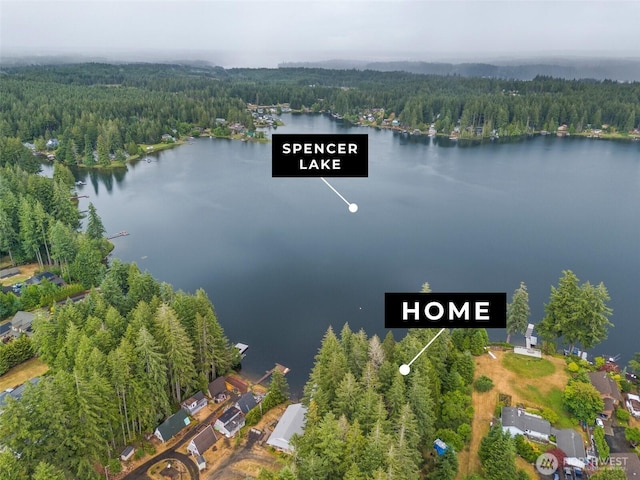 2120 E Spencer Lake Rd, Shelton, WA 98584 - aerial overview of property's location with a forest and a nearby body of water