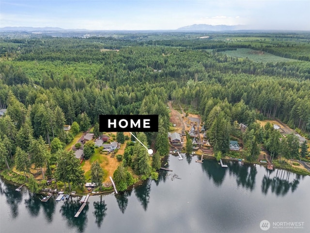 2120 E Spencer Lake Rd, Shelton, WA 98584 - aerial view of property's location with a water and mountain view and property parcel outlined