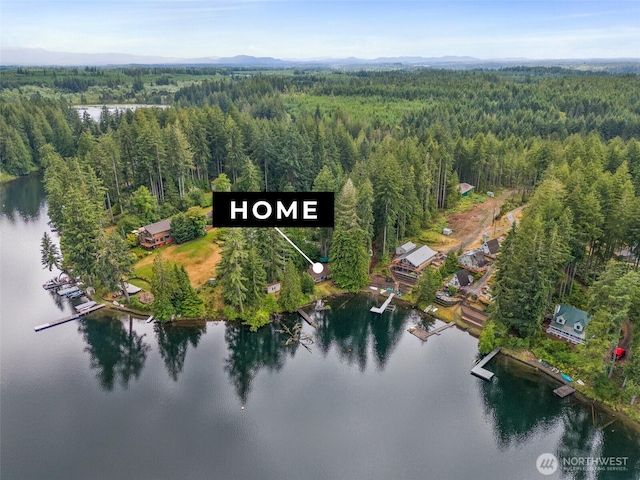 2120 E Spencer Lake Rd, Shelton, WA 98584 - aerial view of property and surrounding area with a heavily wooded area and a large body of water