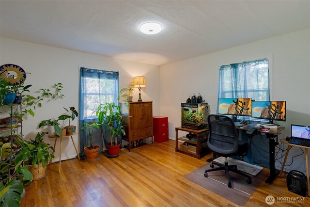 1328 Grant St, Walla Walla, WA 99362 - office featuring light wood-type flooring and baseboards