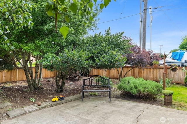 1401 Lum Rd, Centralia, WA 98531 - fenced backyard with a patio