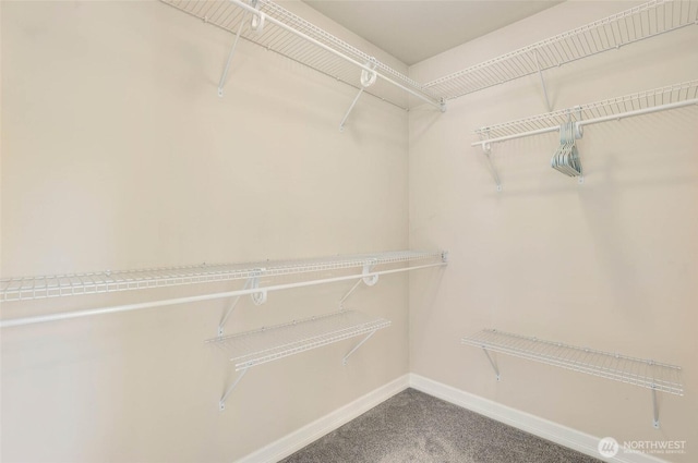 1803 65th Ct SE, Tumwater, WA 98501 - spacious closet with carpet floors