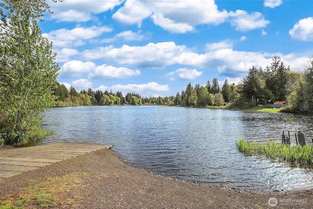 1803 65th Ct SE, Tumwater, WA 98501 - water view featuring a forest