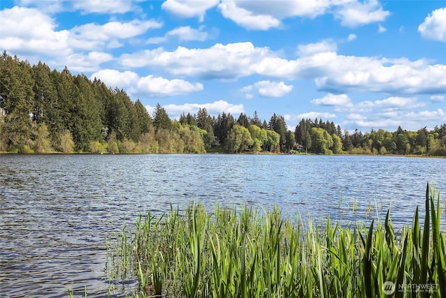 1803 65th Ct SE, Tumwater, WA 98501 - water view featuring a heavily wooded area