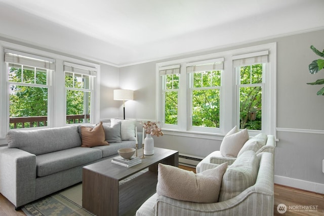 2110 N 88th St, Seattle, WA 98103 - living area featuring a baseboard heating unit, plenty of natural light, wood finished floors, and ornamental molding