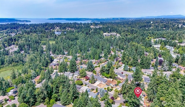 502 SW 326th St, Federal Way, WA 98023 - view of property location with a heavily wooded area and a nearby body of water
