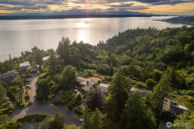 432 SW 206th St, Normandy Park, WA 98166 - aerial view at dusk of a water view