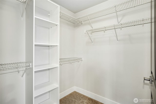 18405 15th Ave W, Lynnwood, WA 98037 - walk in closet featuring carpet floors