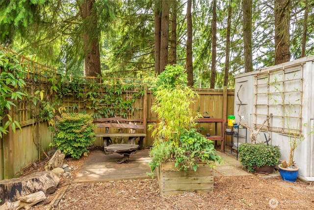 5626 29th Ct SE, Lacey, WA 98503 - view of fenced backyard