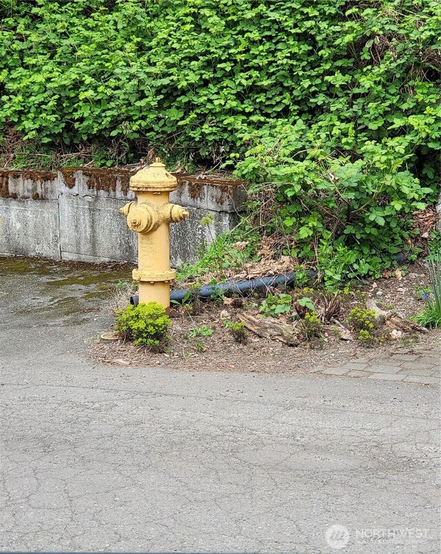 2318 Perkins Ln W, Seattle, WA 98199 - photo 6