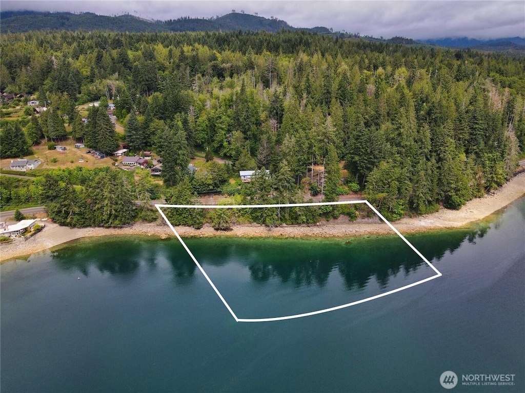 0 N US Highway 101, Hoodsport, WA 98548 - photo 2