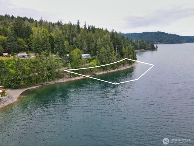 0 N US Highway 101, Hoodsport, WA 98548 - photo 3